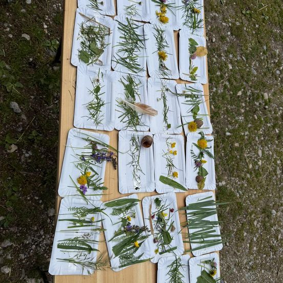 Ein Holztisch mit mehreren weißen Tellern, auf denen verschiedene Pflanzen, Blumen und Blätter ausgestellt sind, steht im Freien auf einer felsigen Oberfläche.