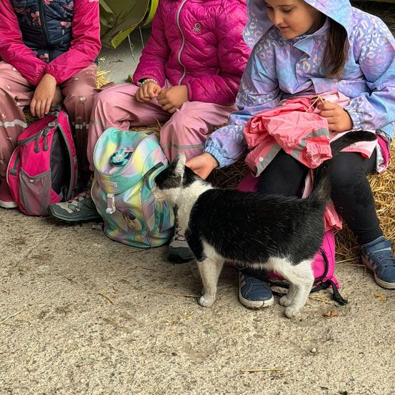 Drei Mädchen in bunten Jacken sitzen auf Heuballen. Ein Mädchen streichelt eine schwarz-weiße Katze. Sie haben bunte Rucksäcke in der Nähe.