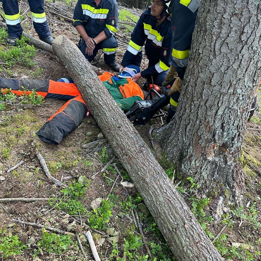 Einsatzkräfte in Uniform kümmern sich um eine Person, die neben einem umgestürzten Baum auf dem Boden liegt. Ein Helfer kniet neben der Person, während andere hinter einem Baumstamm stehen.