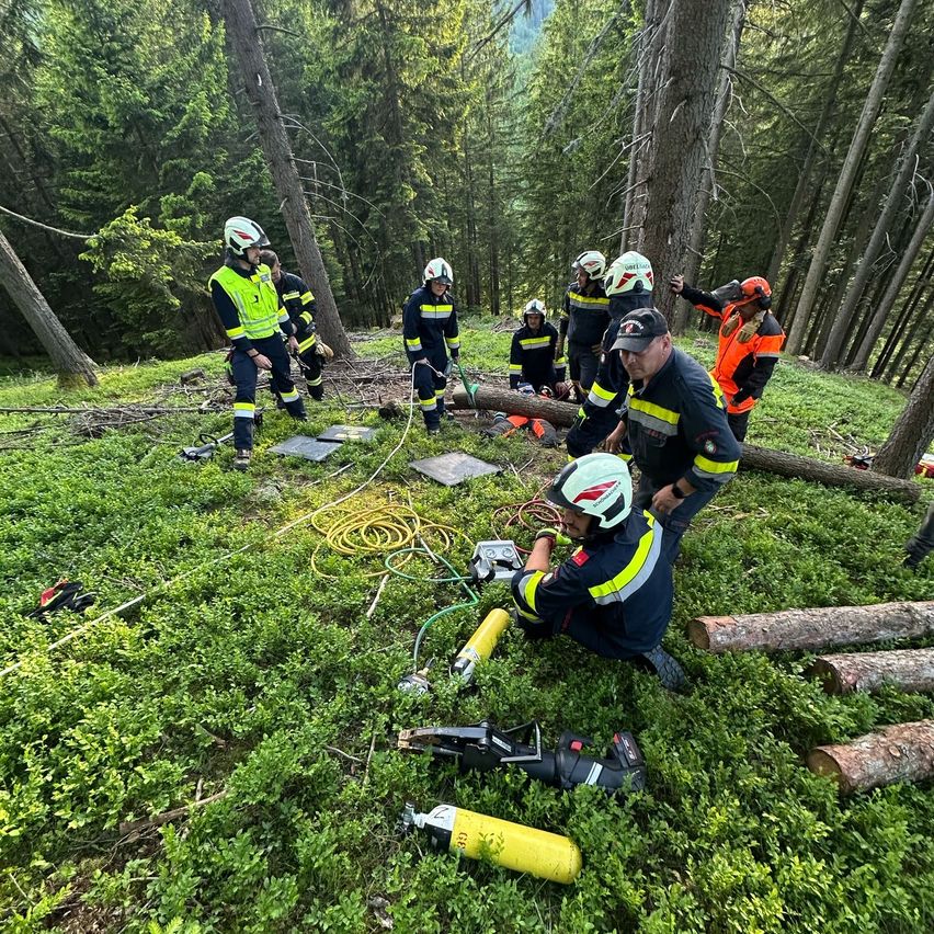 Eine Gruppe von Feuerwehrleuten in Schutzausrüstung arbeitet in einem bewaldeten Gebiet. Einige stehen, andere knien und benutzen Werkzeuge. Der Boden ist mit grünem Gras und umgestürzten Bäumen bedeckt.