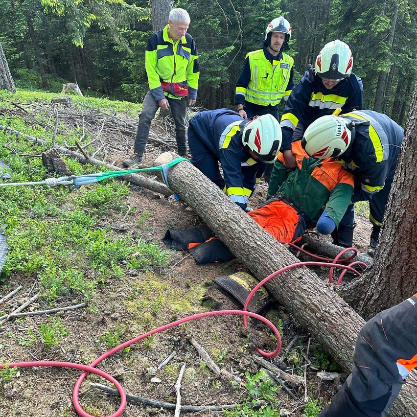 Rettungskräfte sichern einen umgestürzten Baum mit Seilen in einem Wald. Sie tragen Schutzausrüstung. Eine Person am Boden scheint verletzt zu sein.