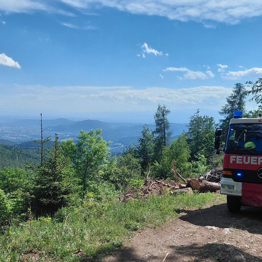 Ein Feuerwehrauto ist auf einer schmalen Straße geparkt, umgeben von Bäumen, mit einem Bergrücken und einem klaren blauen Himmel in der Ferne.