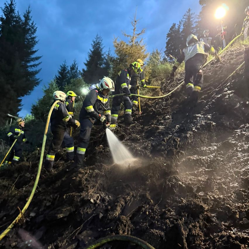 Firefighters in protective gear are working on a steep slope, using a hose to spray water on the ground. Trees and a cloudy sky are in the background.