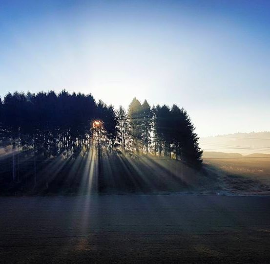 Eine ruhige Sonnenaufgangsszene mit Sonnenlicht, das durch hohe Bäume filtert und Strahlen auf ein Feld mit entfernten Bergen und einem klaren blauen Himmel wirft.