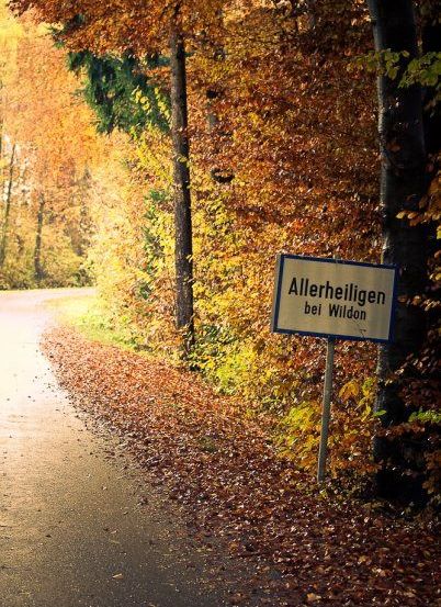 Ein Weg gesäumt von Bäumen und einem Schild, das 'Allerheiligen bei Wildon' im Herbstlaub anzeigt.