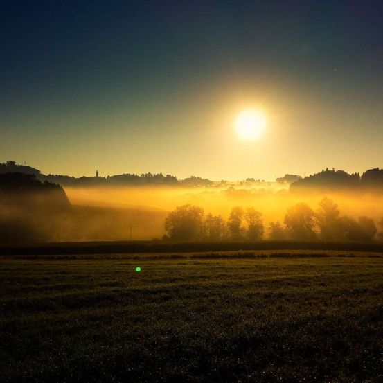 Ein Sonnenaufgang über einem Feld mit Nebel und Bäumen. Die Sonne ist hell und hoch am Himmel.