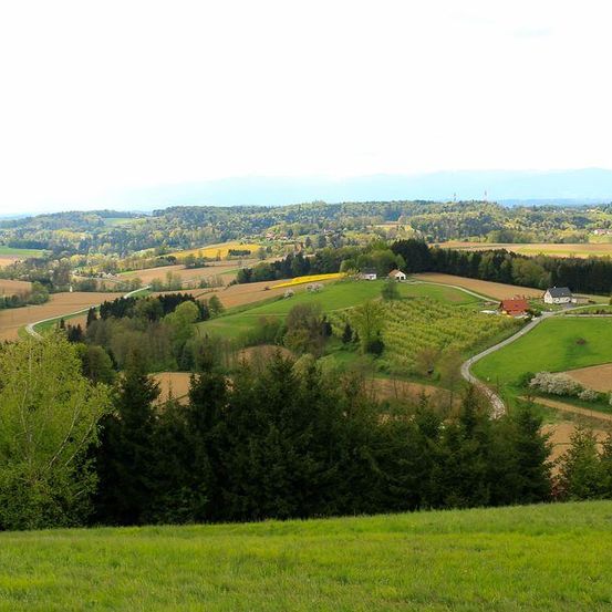 Eine ländliche Landschaft mit sanften Hügeln, vielfältiger Vegetation und verstreuten Häusern unter einem klaren Himmel.