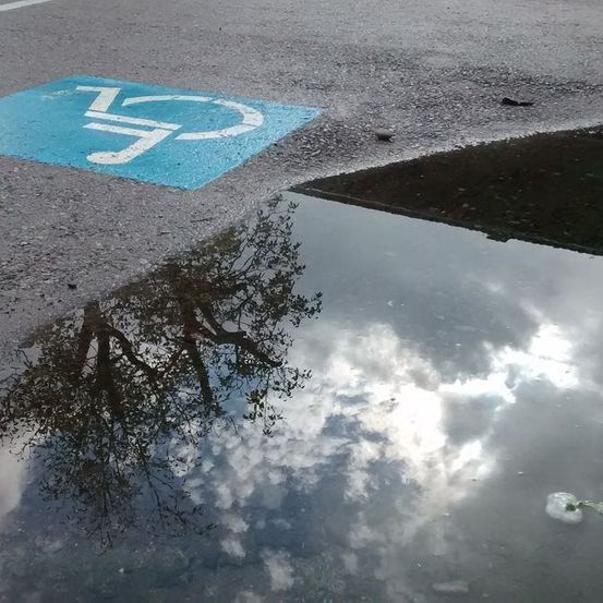 Ein Behindertenparkplatzschild ist auf dem Asphalt gemalt. Das Schild spiegelt sich in einer Pfütze. Die Pfütze zeigt den Himmel und einen Baum.