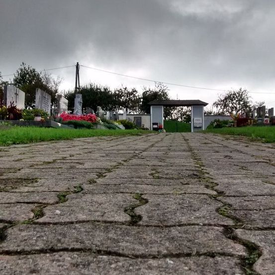 Ein Steinweg führt durch einen Friedhof mit einem bewölkten Himmel, gesäumt von Grabsteinen und Grünflächen, einschließlich roter Blumen und üppiger Bäume.