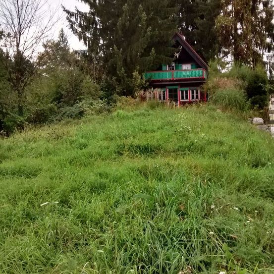 Ein kleines Holzhaus mit grünen und roten Akzenten steht auf einer grasigen Wiese, umgeben von Bäumen und Sträuchern.
