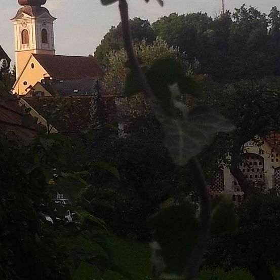 Eine Kirche mit Turm steht zwischen Bäumen und einem Haus. Der Turm hat eine Uhr. Die Kirche ist gelb.
