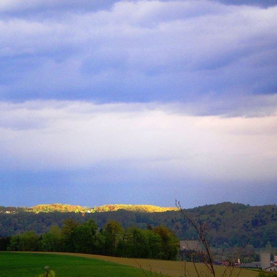 Eine Landschaftsansicht mit bewölktem Himmel, einem Hügel im Hintergrund und grünen Bäumen und Pflanzen im Vordergrund.