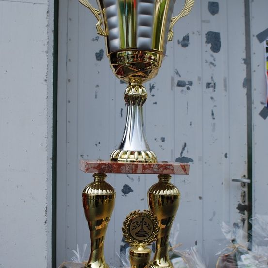 Ein goldener Pokal steht auf einem zweistufigen Sockel, mit einer runden goldenen Medaille darunter. Der Pokal und der Sockel sind beide aus Gold, mit einem silbernen Kelch obenauf. Der Hintergrund zeigt eine verwitterte weiße Wand.