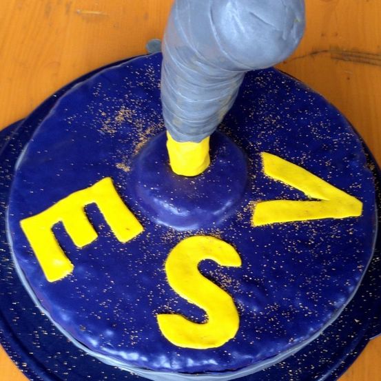 Ein blauer Kuchen mit 'MSV' in gelben Buchstaben und einem blauen, welligen Objekt darauf. Der Kuchen steht auf einem blauen Teller mit einem hölzernen Hintergrund.