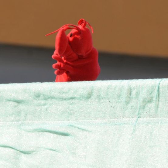 Ein kleines rotes Hummer-Plüschtier sitzt auf der Kante einer mintgrünen Oberfläche, möglicherweise ein Tisch oder eine Theke.