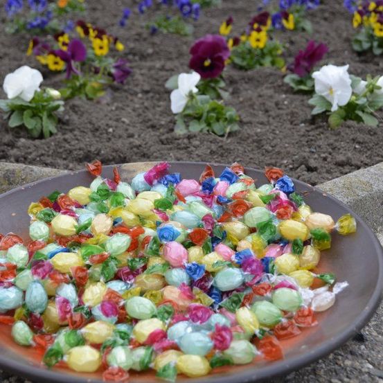Ein Teller mit bunten Süßigkeiten, möglicherweise Lutschern, steht in einem Garten mit violetten, gelben und weißen Blumen im Hintergrund.