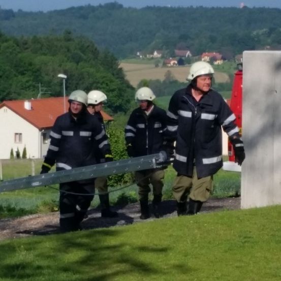 Vier Feuerwehrleute in Helmen tragen eine Leiter einen Weg hinunter in einer ländlichen Umgebung, mit einem Haus und Bäumen im Hintergrund.