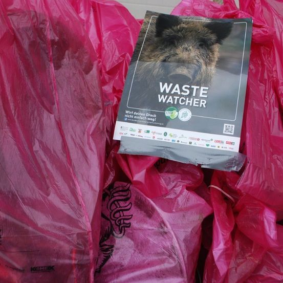 Ein Waste Watcher-Poster liegt auf einem Haufen rosa Plastiktüten. Das Poster zeigt einen Wildschwein und ermutigt, den Dreck nicht vorbeiziehen zu lassen.