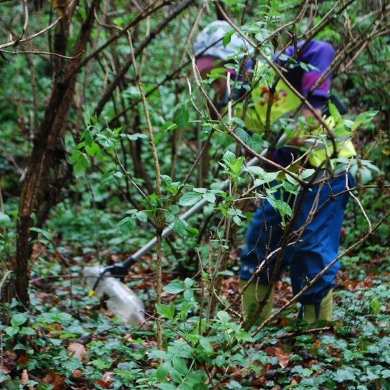 Eine Person im Wald benutzt eine Harke zum Entfernen von Büschen und trägt eine reflektierende Weste und Stiefel.