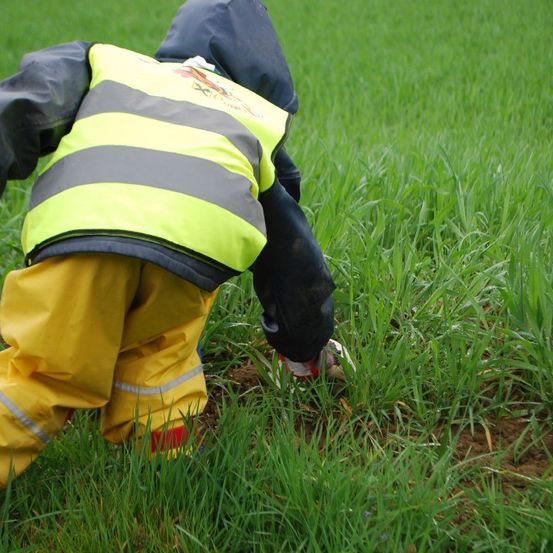 Ein Kind in gelbem Regenmantel und Weste beugt sich nach unten, um das Gras zu berühren.