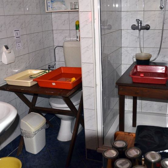 Ein Badezimmer mit weißen Fliesen, einer Toilette, einem Waschbecken und einer Duschkabine. Vor der Toilette stehen Tische mit Tabletts und Behältern.