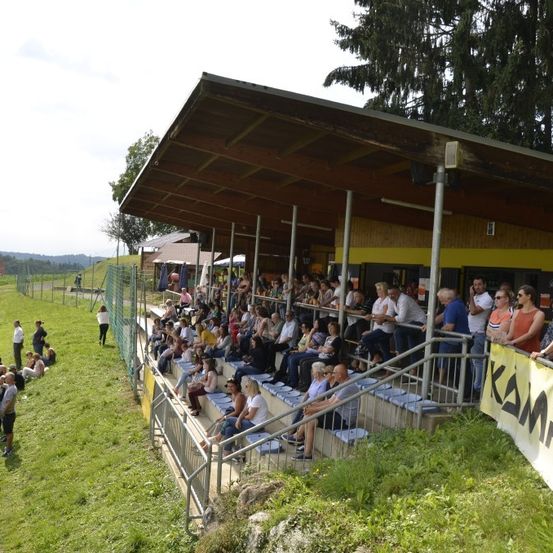 Eine Menschenmenge versammelt sich in einem Stadion mit gestaffelten Sitzen unter einem Dach. Viele Menschen sitzen, während andere an den Seitenlinien stehen. Die Szene umfasst ein Grasfeld und ein Banner.