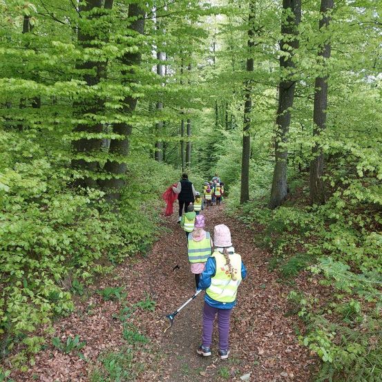Eine Gruppe von Kindern in neongelben Westen geht einen Waldweg entlang. Eine Frau in einem roten Kleid folgt dahinter.