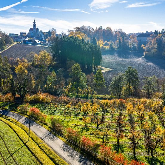 Ein Luftbild einer malerischen Landschaft mit einer Kirche, einem Dorf und Feldern. Bäume mit Herbstfarben säumen eine gewundene Straße.