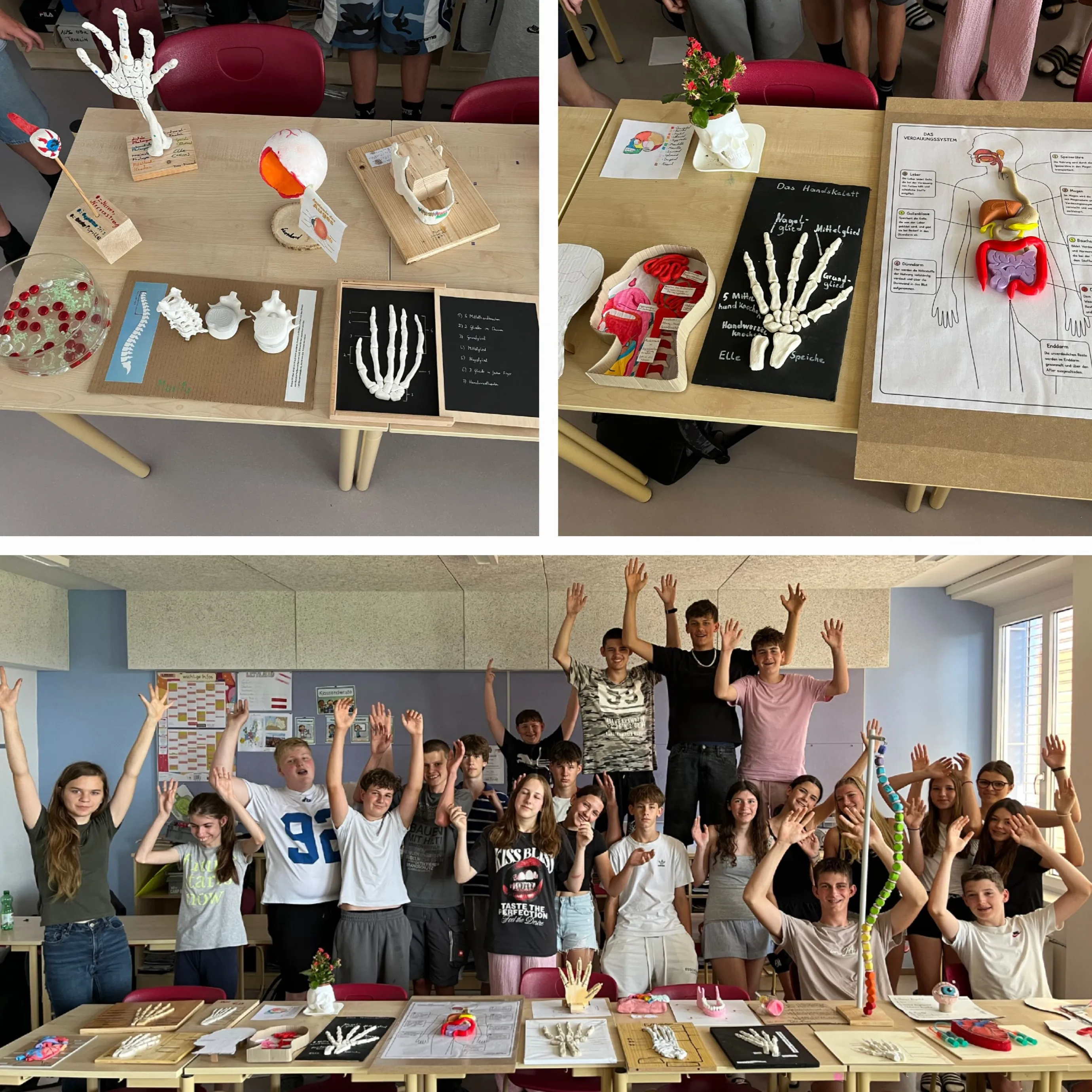 Gruppe von Schülern in einem Klassenzimmer, Hände erhoben, lächelnd. Drei Tische mit anatomischen Modellen und Diagrammen. Ein Tisch mit einem Handmodell, ein anderer mit einem Schädel und Wirbelsäule, der letzte mit einem menschlichen Körperdiagramm.
