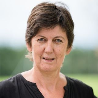 Bild von  Dipl.Päd. Brigitte Jauk