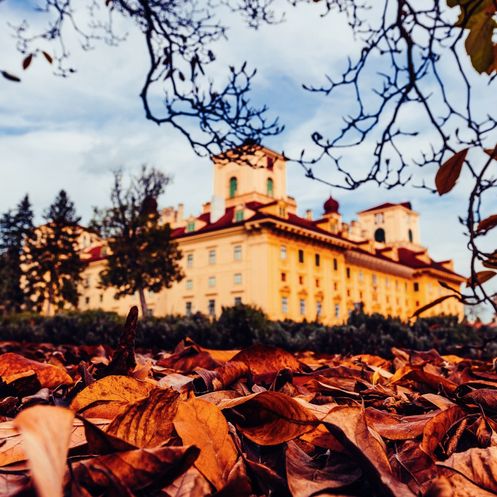 Bild enthält, Leaf, Plant, Tree, City, Urban, Autumn, Neighborhood, Photography, Outdoors, Shelter