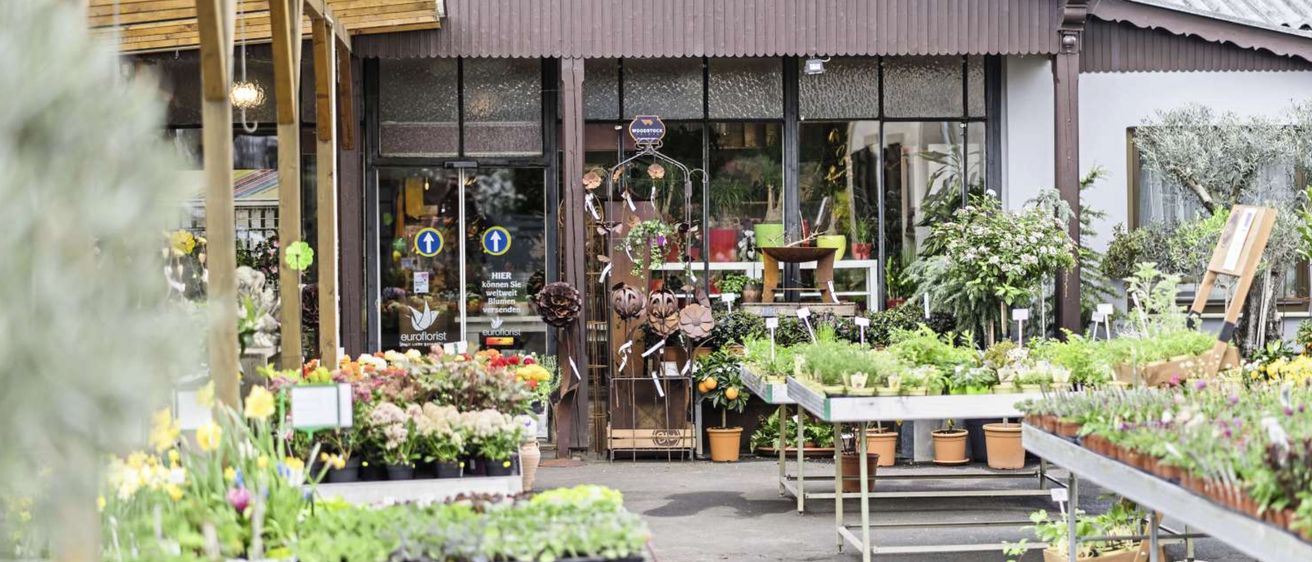 Ein Euroflorist-Geschäft mit verschiedenen Topfpflanzen und Blumen draußen. Es gibt Schilder für Ein- und Ausgang und ein Holzdach. Das Geschäft hat Glaswände, die mehr Pflanzen im Inneren zeigen.