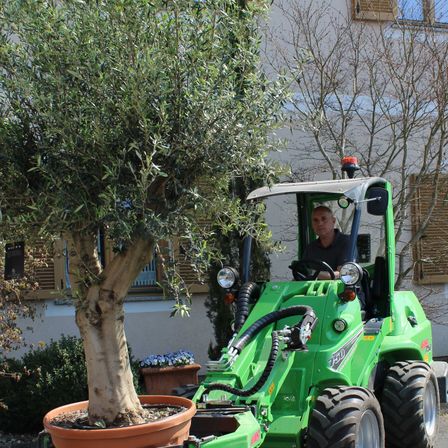Bild enthält, Potted Plant, Planter, Tree, Soil, Adult, Male, Man, Person, Pot, Tire
