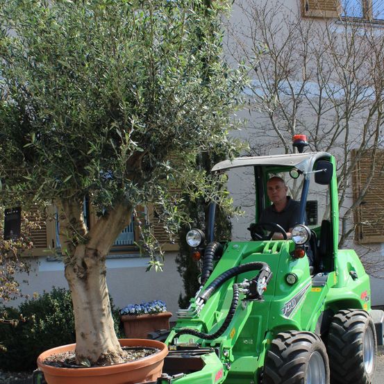 Bild enthält, Potted Plant, Planter, Tree, Soil, Adult, Male, Man, Person, Pot, Tire