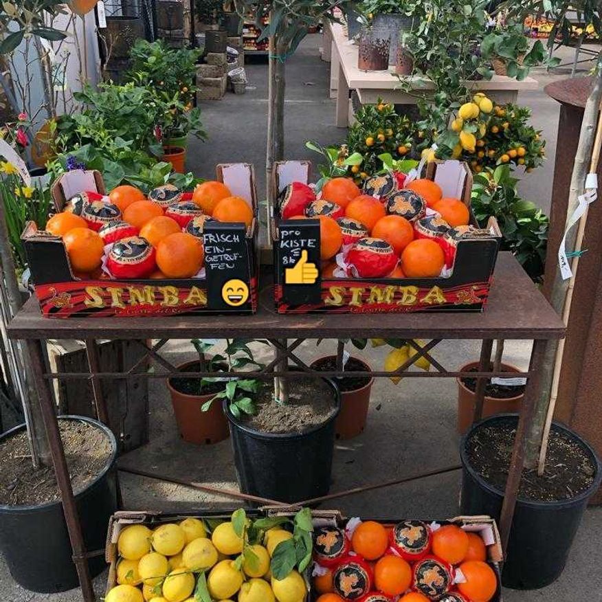 Bild enthält, Citrus Fruit, Food, Fruit, Plant, Produce, Orange, Grapefruit, Market