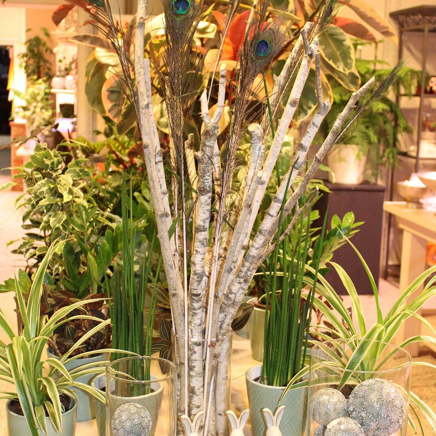 Bild enthält, Plant, Potted Plant, Flower, Flower Arrangement, Jar, Pottery, Vase, Cup, Person