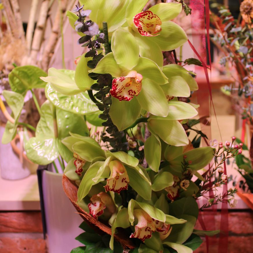 Bild enthält, Flower, Flower Arrangement, Plant, Flower Bouquet, Ikebana