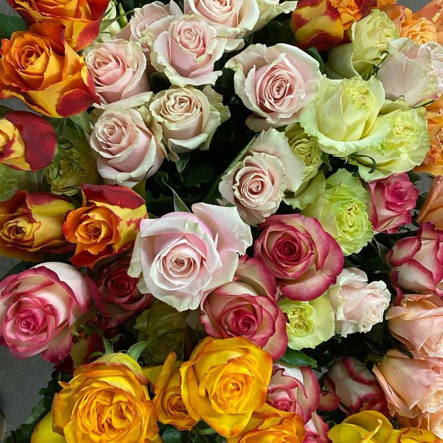 Bild enthält, Flower, Plant, Rose, Flower Arrangement, Flower Bouquet, Art, Floral Design, Graphics, Pattern, Petal