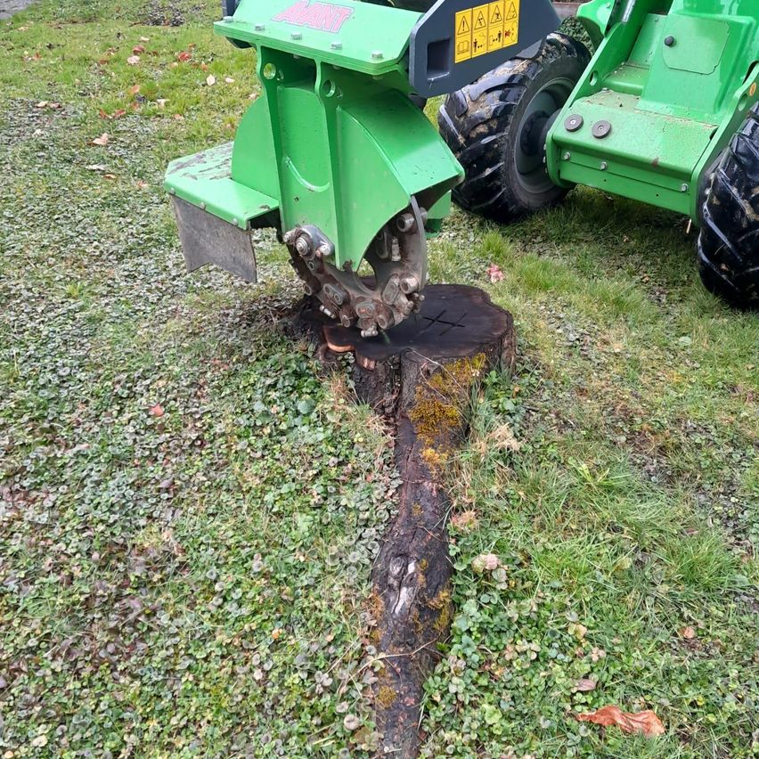 Bild enthält, Tree, Nature, Outdoors, Countryside, Grass, Rural, Farm, Tree Stump, Lawn Mower, Farm Plow