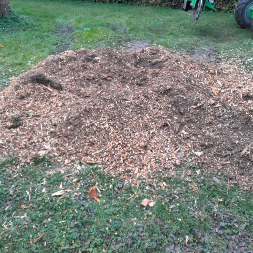 Bild enthält, Grass, Soil, Lawn, Backyard, Nature, Outdoors, Yard, Grassland, Wheel, Ground