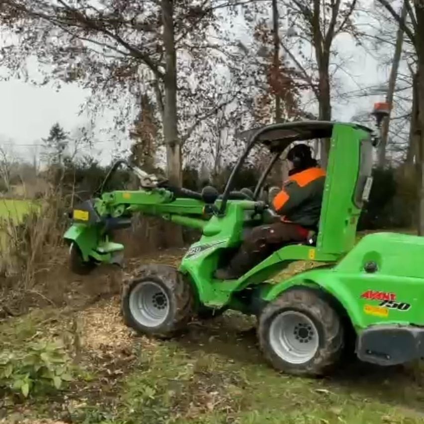 Bild enthält, Grass, Lawn, Plant, Device, Lawn Mower, Tool, Mowing Lawn, Person