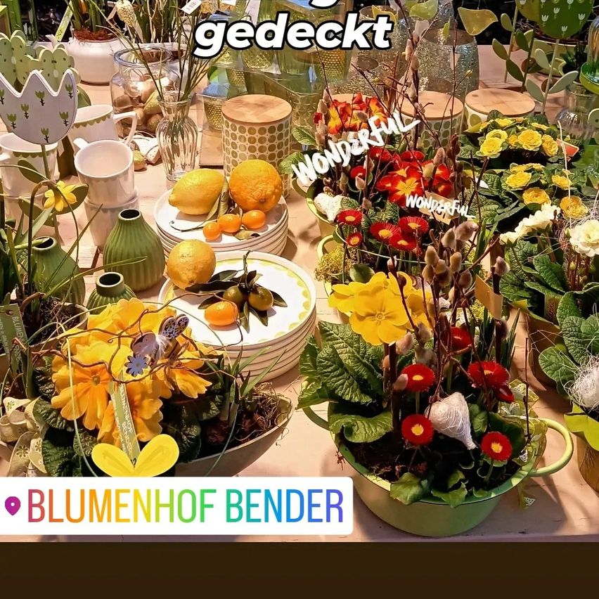 Bild enthält, Advertisement, Poster, Cafeteria, Indoors, Restaurant, Food, Meal, Lunch, Flower, Plant