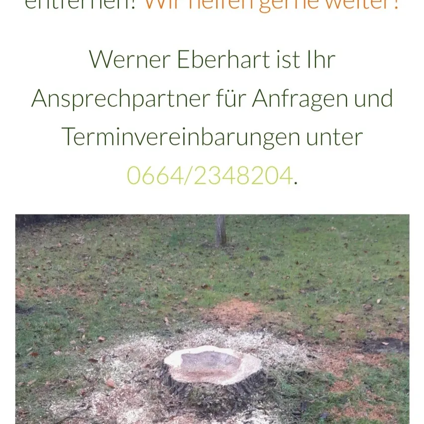 Plant, Tree, Grass, Hole, Soil, People, Person, Water, Outdoors