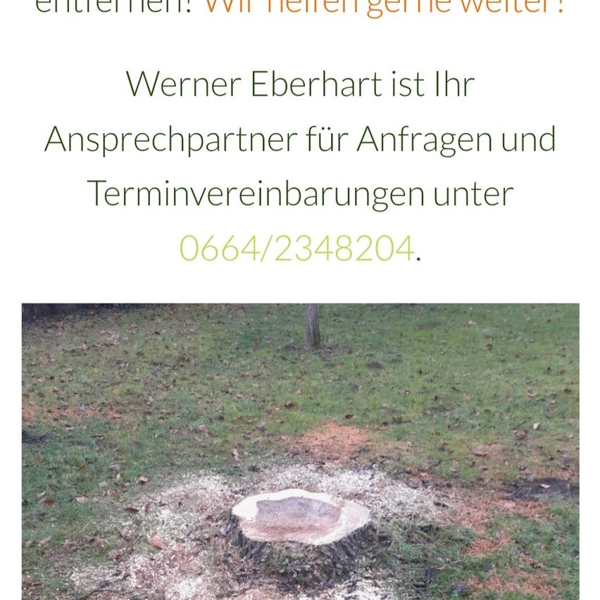 Bild enthält, Plant, Tree, Grass, Hole, Soil, People, Person, Water, Outdoors