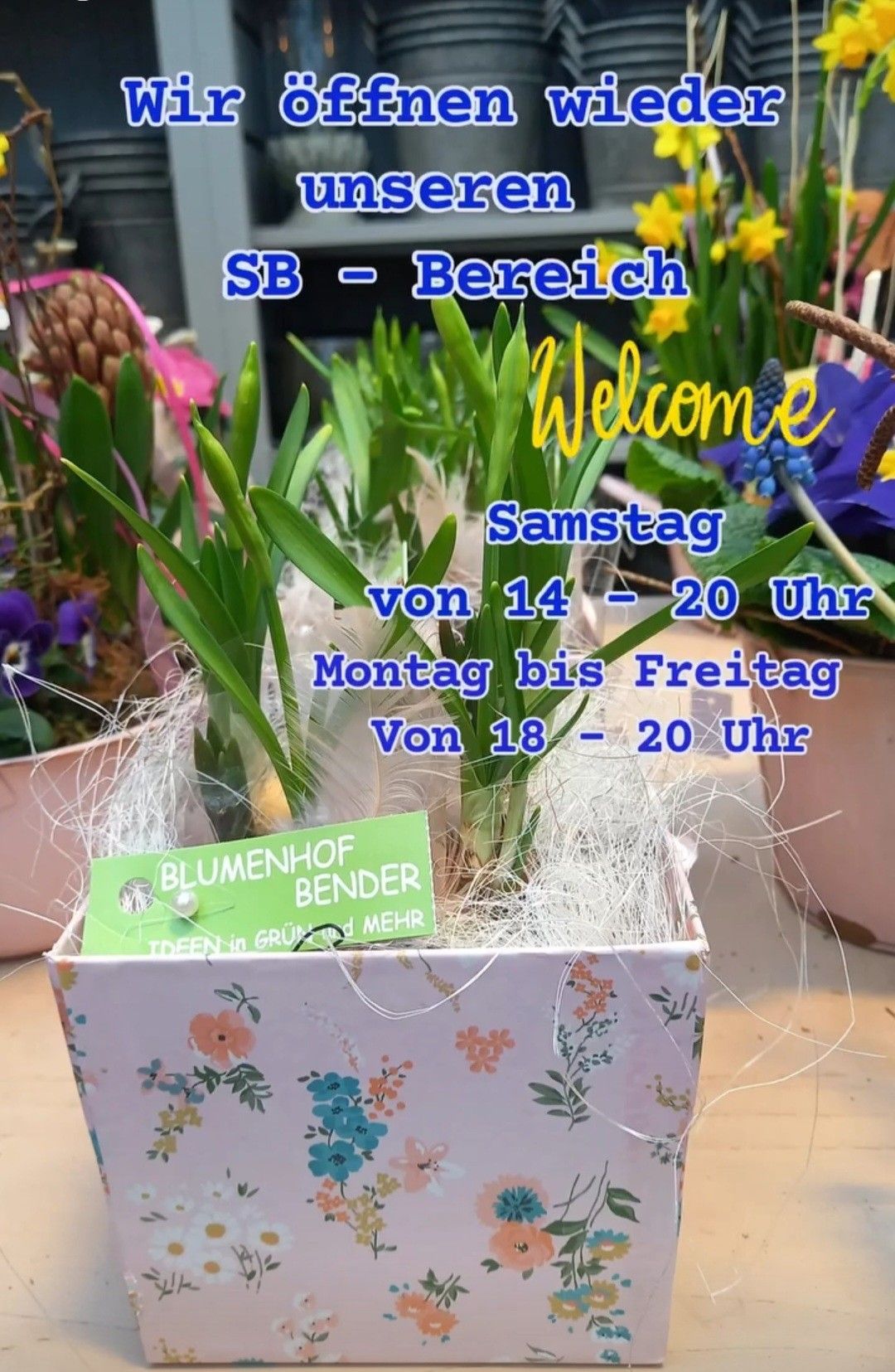 Bild enthält, Plant, Potted Plant, Flower, Flower Arrangement, Flower Bouquet, Planter, Pottery, Vase, Bag, Handbag