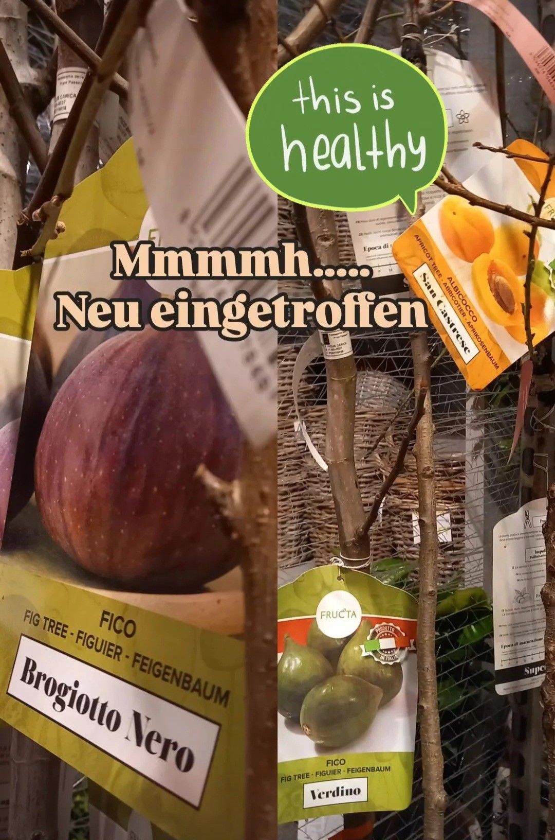Bild enthält, Food, Fruit, Plant, Produce, Advertisement