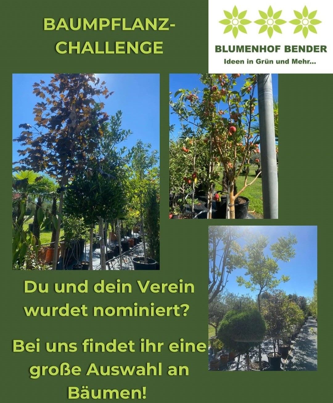 Ein Plakat bewirbt eine Challenge von Blumenhof Bender mit Bildern verschiedener Bäume und Pflanzen und lädt Sie und Ihren Verein zur Nominierung ein.