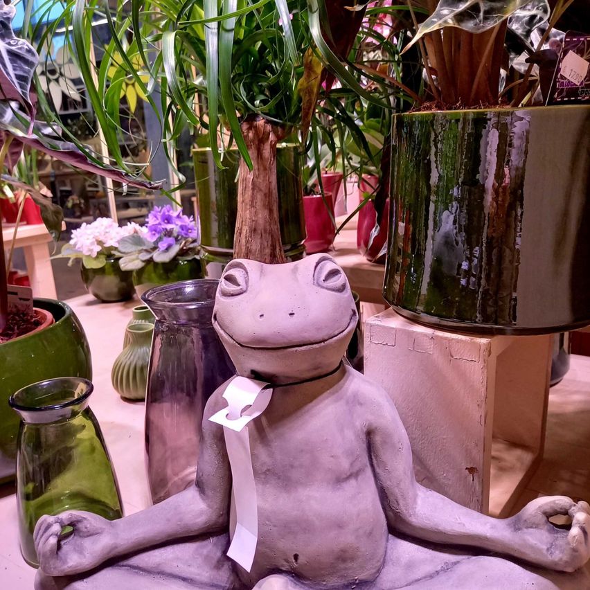 Eine Froschstatue in Yoga-Haltung sitzt in einem Raum mit verschiedenen Topfpflanzen und Vasen, ein Baumstamm ragt aus seinem Kopf heraus.