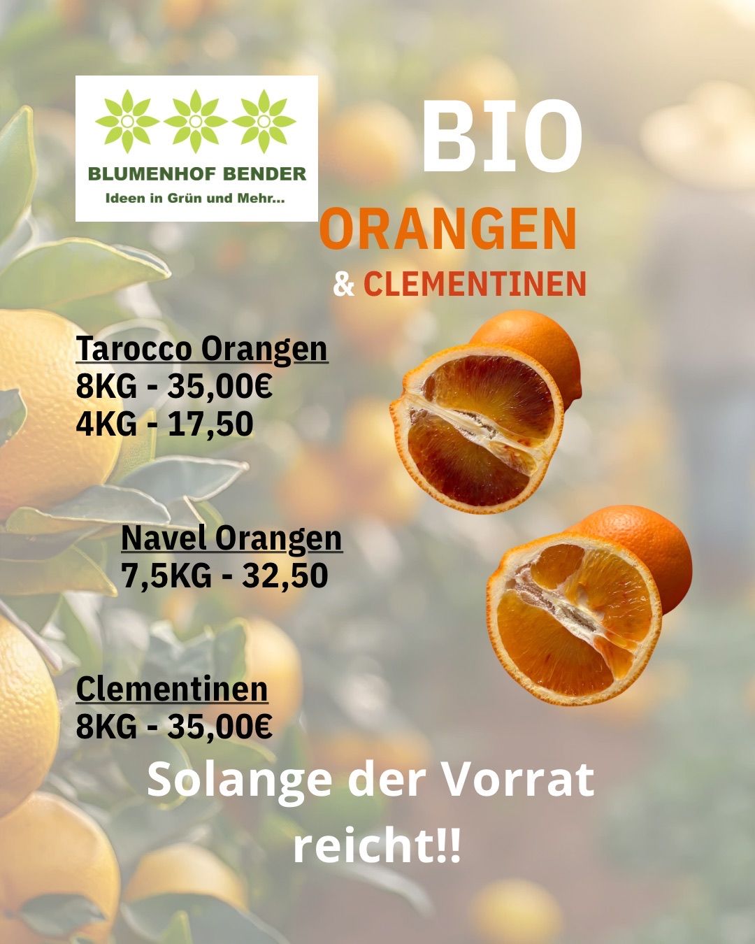 Werbeanzeige für Bio-Orangen und Clementinen von Blumenhof Bender. Zeigt Preise für Tarocco-Orangen, Navel-Orangen und Clementinen. Beinhaltet geschnittene Orangen und den Slogan 'Solange der Vorrat reicht!'.