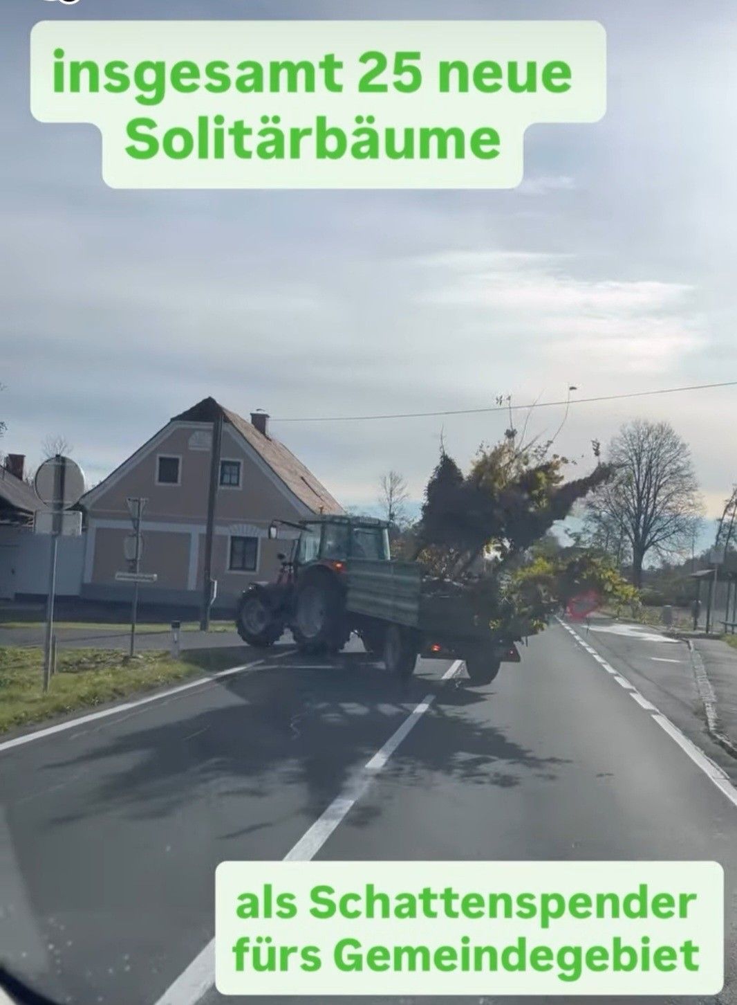 Ein Traktor, der mehrere Pflanzen transportiert, fährt auf einer Straße in der Nähe eines Hauses, über dem ein bewölkter Himmel ist.